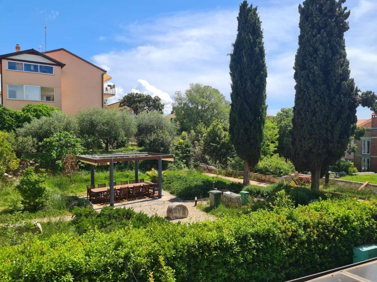 Apartman Vedrana *